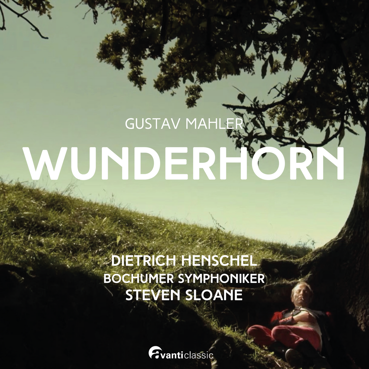 Wunderhorn (2 CD)